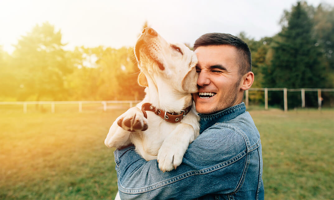 Pet Care 5 Course Bundle