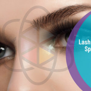 Lash and Brow Specialist Training Package