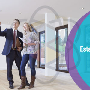 Real Estate Agent