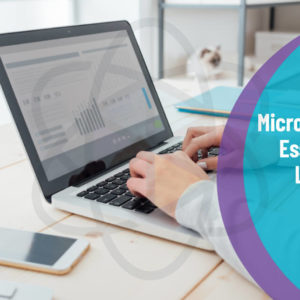 Microsoft Excel Essentials Level 1