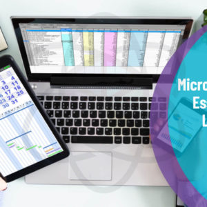 Microsoft Excel Essentials Level 2