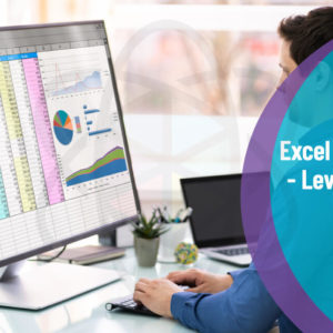 Microsoft Excel Essentials Level 3
