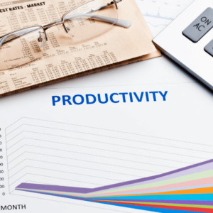 Business Productivity Training