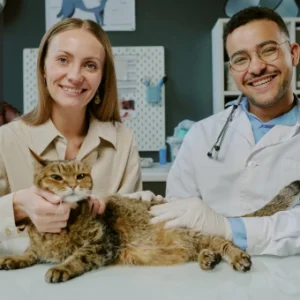 A smiling veterinarian and a pet owner sit together with a relaxed cat on a clinic table during a health check-up. The Thames College logo appears in the corner.
