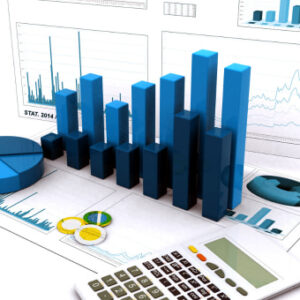 Financial Analysis - QLS Endorsed
