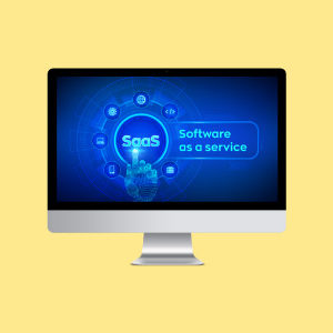 How To Startup Your Own SaaS (Software As a Service) Company (SaaS Evolution)