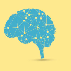 Neuroplasticity: How To Rewire Your Brain
