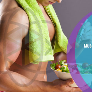 Muscle Building Secrets