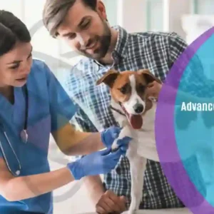Advanced Pet First Aid
