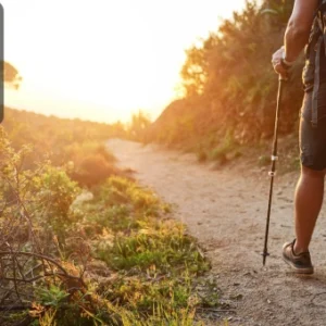 A hiker walking on a sunlit trail surrounded by trees and shrubs with a trekking pole.