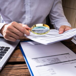 Finance: Financial Investigator