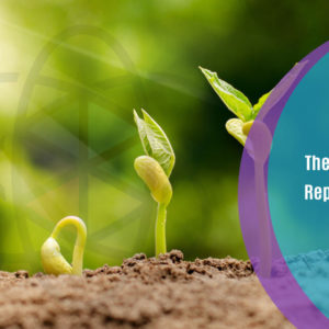 The Basics of Reproduction