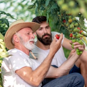 Create Your Own Organic Food Garden