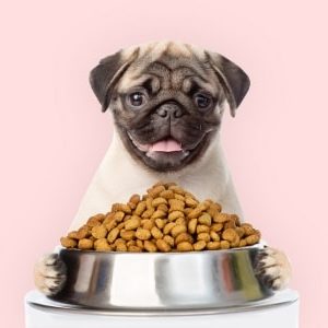 Diet and Nutrition for Animals