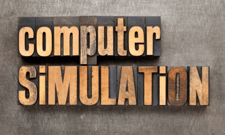 Computer Simulation of Realistic Mathematical Models