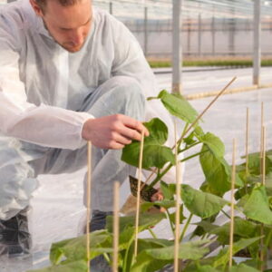 Horticulture & Agricultural Science