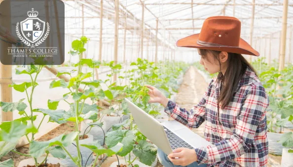 A young woman in a checkered shirt and cowboy hat uses a laptop while inspecting plants inside a greenhouse. The Thames College logo is displayed in the top-left corner.