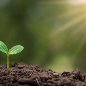 Environmental health & Management