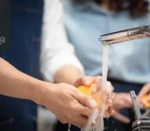 Cleaning & Hygiene Excellence: Food Safety, Infection Control & Spill Management