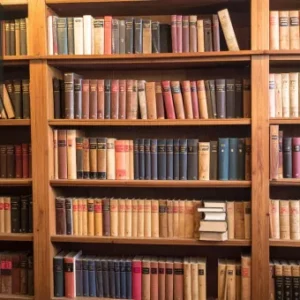 A large library shelf filled with books, representing the study of English Literature and Egyptology.