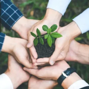 Four hands joined together holding soil with a young green plant sprouting, symbolising teamwork and sustainability in environmental health.
