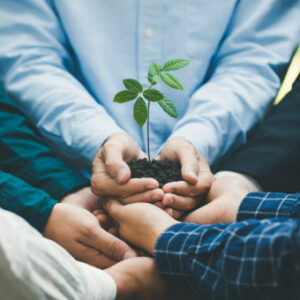 Environmental Management