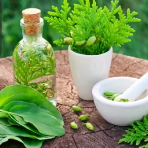 Advanced Naturopathy & Aromatherapy Skills Bundle with Alternative Medicine and Remedies