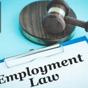 A clipboard with the words Employment Law and a judge's gavel resting nearby on a blue surface.