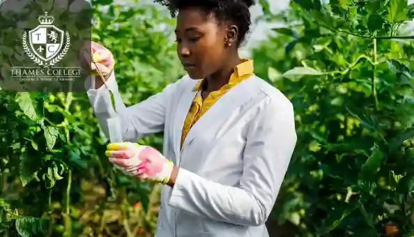 Master the principles of agriculture with this comprehensive course. Gain knowledge in crop production, soil management, and modern farming techniques to enhance your skills and career opportunities.