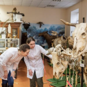 Animal Science