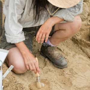 Archaeology