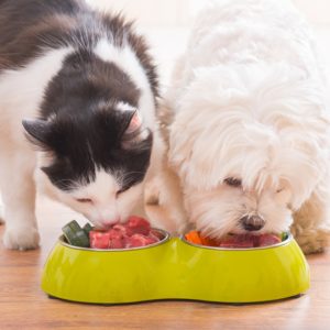 Diet and Nutrition for Animals