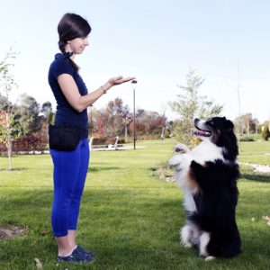 Dog Trainer Certificate
