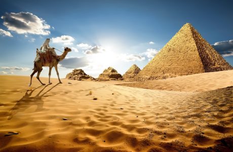 Egyptology
