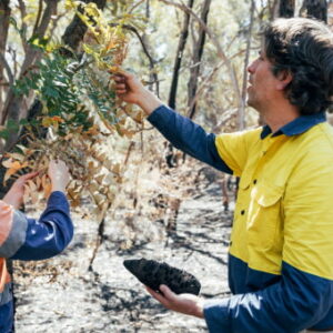 Environmental Conservation