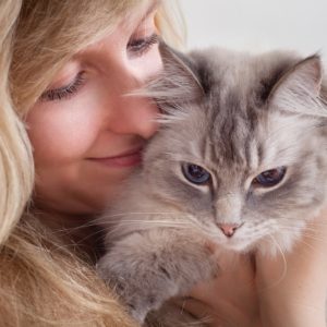 Feline Behaviour and Psychology