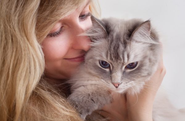 Feline Behaviour and Psychology