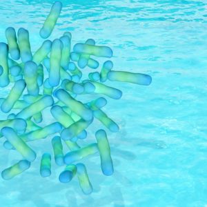 Legionella Management