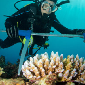 Marine Biology