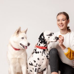 Pet Sitting Training