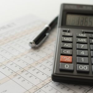 Purchase Ledger Analyst