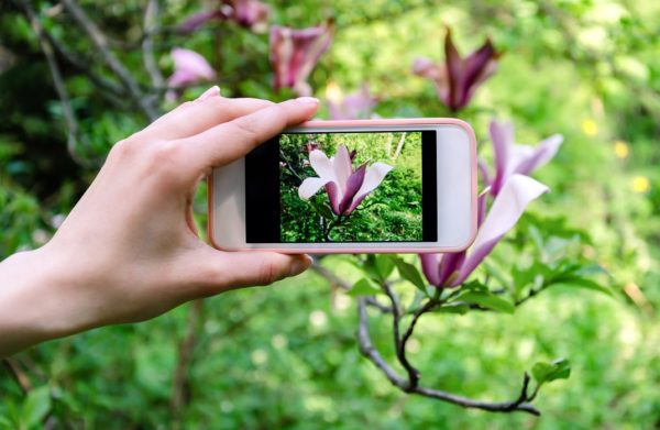 Smartphone Photography