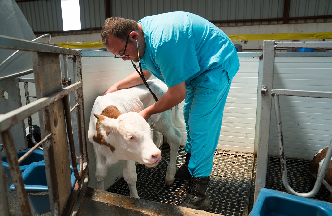 Animal Care Thames College