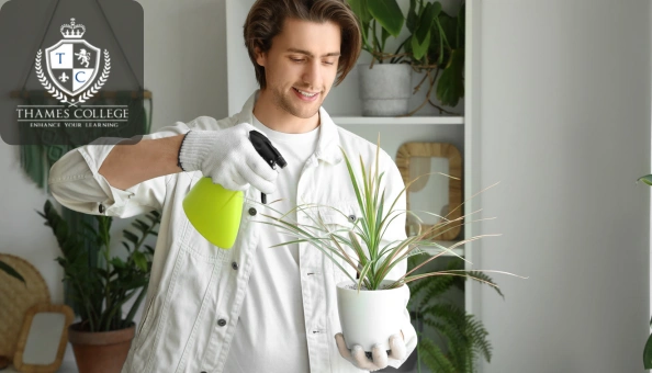 Young man spraying water on a potted plant indoors, representing the study of botany and plant physiology.
