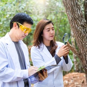 Forestry : Forest Surveying