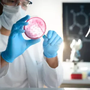 Scientist wearing protective gear examining a petri dish with bacterial cultures in a laboratory.