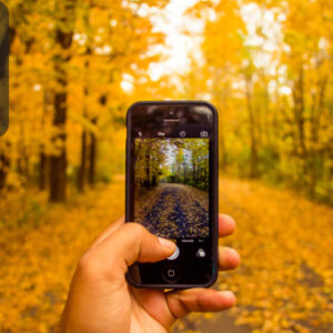 iPhone Photography