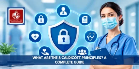 What Are The 8 Caldicott Principles A Complete Guide
